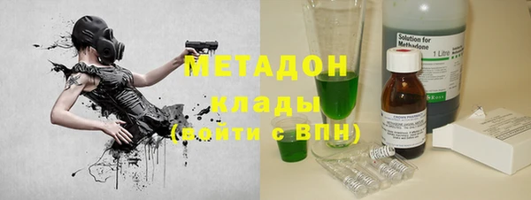 индика Алексин