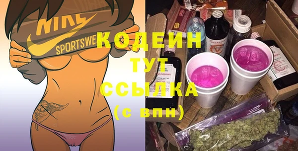 индика Алексин