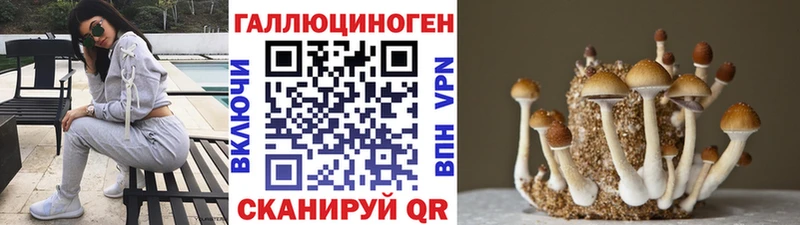 цены наркотик  Октябрьский  гидра рабочий сайт  Галлюциногенные грибы MAGIC MUSHROOMS 