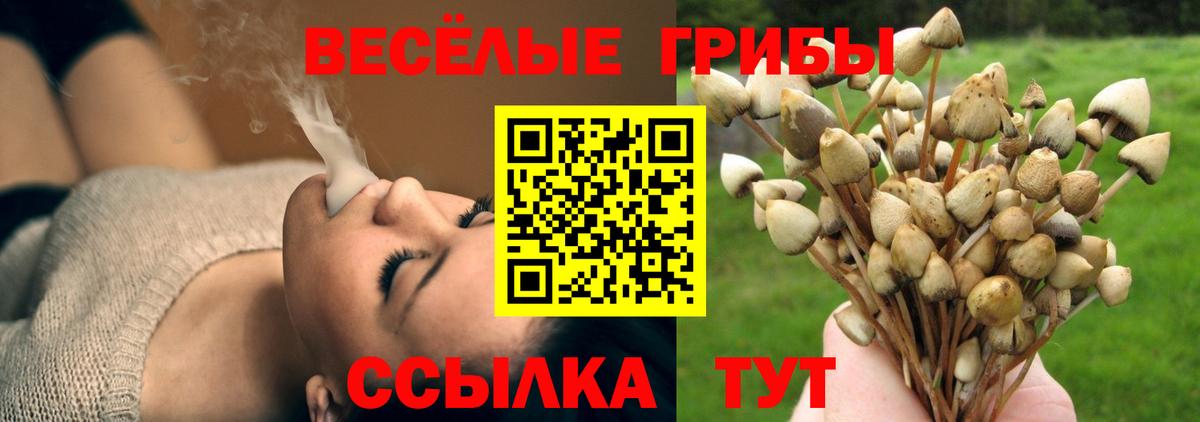 Галлюциногенные грибы Magic Shrooms  Вход с VPN  Галлюциногенные грибы MAGIC MUSHROOMS  Октябрьский 